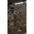 上海工业垃圾处理公司大量固废清运处理电子垃圾处理中心缩略图3