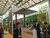  2019中国上海国际园林景观及户外竹木新材料展览会缩略图2