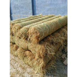 植物纤维毯环保草毯大品牌远景厂家*雄安护坡绿化项目
