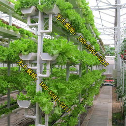 无土栽培温室蔬菜高产吗,无土栽培,无土栽培温室适合哪种蔬菜
