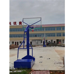 篮球架品牌|奥拓体育(在线咨询)|梅州篮球架