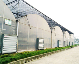 蔬菜温室大棚价格-合肥小农人(在线咨询)-安徽温室大棚