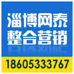 店子网站优化、淄博网泰科技、滨州外贸网站优化