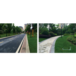 城市道路绿化设计-道路绿化设计-城隆设计招项目经理(查看)