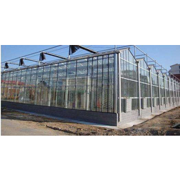安阳盛丰温室工程(图),玻璃温室工程,南通玻璃温室