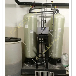 *开封市家用型全自动软水器 除水垢软化水设备 降低水硬度