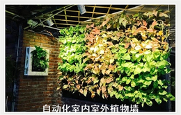 绿化墙植物墙-陕西植物墙-华因机电