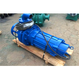 zjq潜水渣浆泵、壹宽泵业(在线咨询)、中山潜水渣浆泵