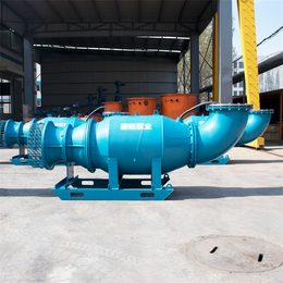高功率雪橇式潜水轴流泵-天津德能泵业有限公司