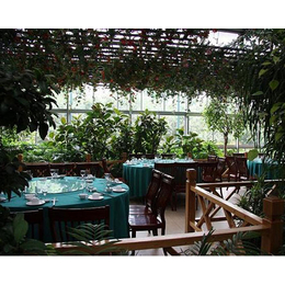 太原生态餐厅设计-太原生态餐厅-山西益兴诚温室工程(查看)