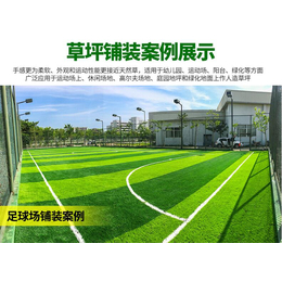 足球场草坪 人造草坪 五人制足球场定做草皮 广西康奇体育