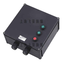 上海飞策BF28050-SQ价格实惠防腐电磁启动器缩略图