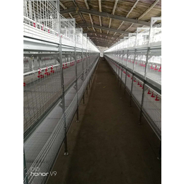 文康机械(图)|肉鸭笼养设备生产厂家|北京肉鸭笼养设备