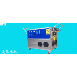 广州蓝奥臭氧*(图)|移动式臭氧水机|莆田臭氧水机
