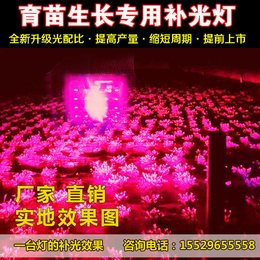 led植物补光灯_青岛led_led蔬菜灯