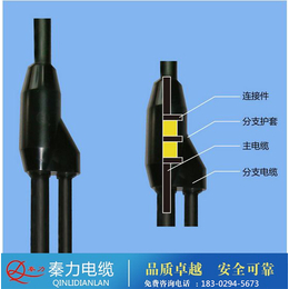 预分支电缆接头|陕西电缆厂|咸阳预分支电缆