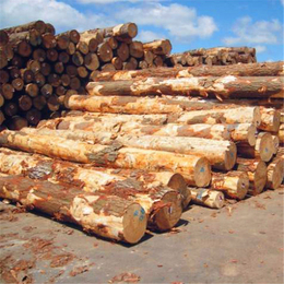 天津辐射松方木-山东木材加工厂-建筑射松方木价格