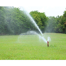足球场草坪喷灌系统、安徽安维(在线咨询)、合肥喷灌