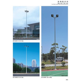 荣辉厂家直接供应2018新款6米7米LED球场灯缩略图