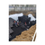 小区雨水收集系统,合肥市远博(在线咨询),滁州雨水收集系统缩略图1
