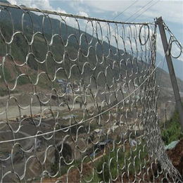 斜坡防护网(图),兰州高速边坡防护网,防护网
