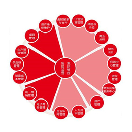 贵州东语(图)|办公财务软件公司联系方式|黔西南办公财务软件