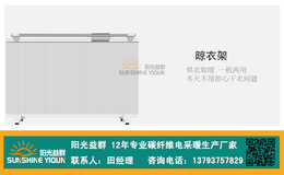 壁挂电暖气-济宁益群(在线咨询)-碳纤维壁挂电暖气