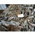 二手设备回收费用,萍乡二手设备回收,【建辉废旧金属回收】缩略图1