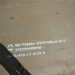 龙泽钢材现货(多图)-绍兴NM360*钢板