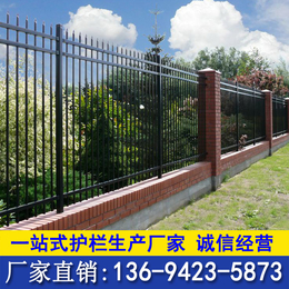 小区围墙防护栏 肇庆园林防护栏 惠州交通栏杆 厂区外墙栅栏缩略图