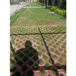 广聚建材实用性能好(图)|混凝土植草砖报价|乐陵混凝土植草砖