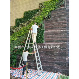 中山建筑植物墙-一枝花绿化工程公司-建筑植物墙绿化工程