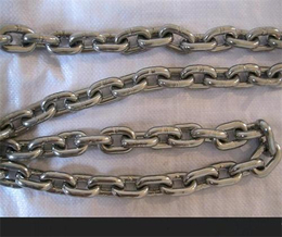 伊宁不锈钢链条-泰安市鑫洲机械-不锈钢链条多少钱一米