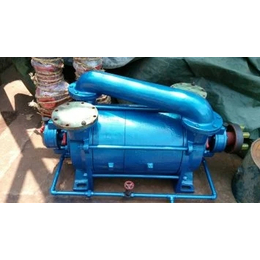 华安水泵(图)、SBZ真空泵、真空泵
