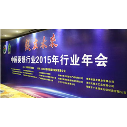 2019中国国际菱镁材料及设备展览会