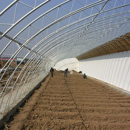 鄂尔多斯农业温室大棚-新日光伏科技可定做-农业温室大棚造价