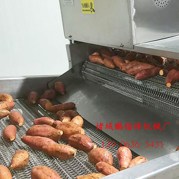 红薯清洗烘干线 大型连续地瓜清洗烘干机 鹏福特红薯烘干设备缩略图