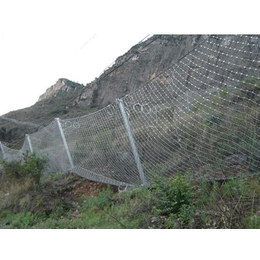 山体防护网.滑坡防护网.山体滑坡防护网