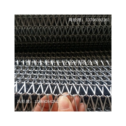 厂家定制304不锈钢网带太阳能光伏网带