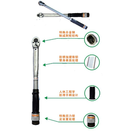 扭力扳手TW_扭力扳手TW-500N_伟烨鑫(推荐商家)