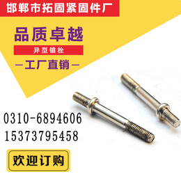 广州异型锚栓|拓固紧固件放心选购|异型锚栓供应