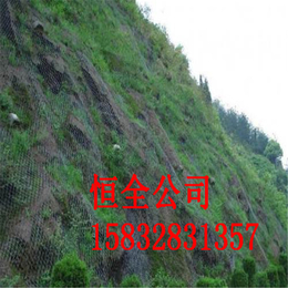 边坡柔性防护网厂家|萍乡防护网|主动柔性防护网厂