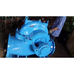 安徽S型大口径双吸泵-强盛泵业厂家