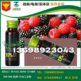 江浙沪黑莓清汁代工灌装制造厂商