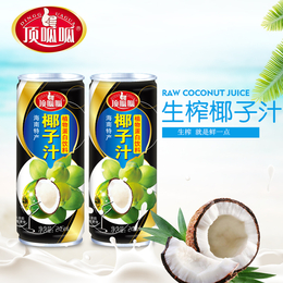 利店零售饮品生榨椰子汁245ML招商加盟