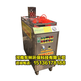 蒸汽洗车机价格_东林环保厂家(在线咨询)_天津蒸汽洗车机