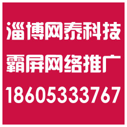 淄博外贸网络营销公司_淄博网泰科技_淄博网络营销公司