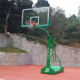 儿童篮球架-宽鑫体育-郑州篮球架