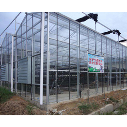 合肥小农人玻璃大棚(图)|温室玻璃大棚厂家|六安玻璃大棚
