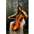音妙钢琴培训(图),大提琴入门,大提琴缩略图1